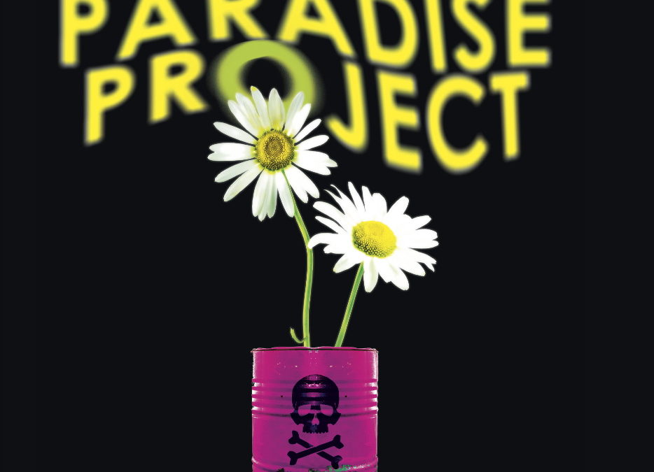 Paradise Project – Pools